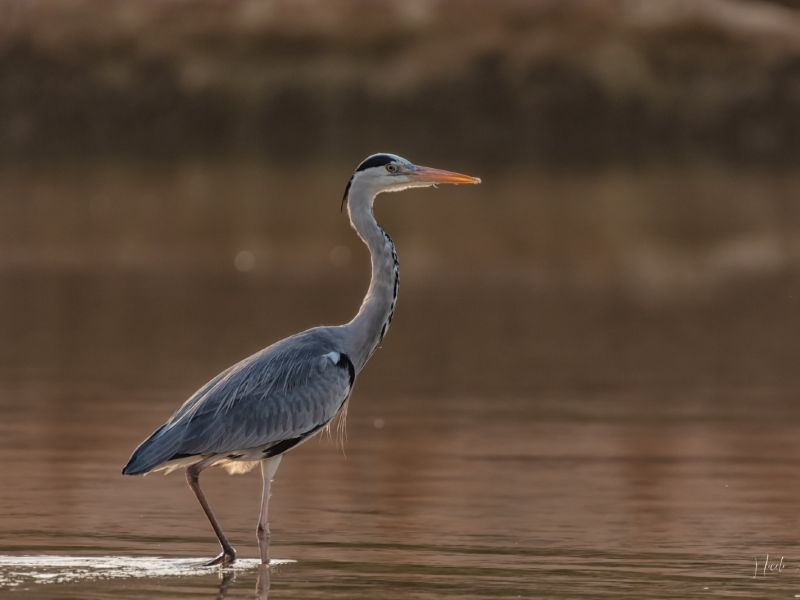 24012023 DSC 7144 Modifier 24012023 DSC 7144 Modifier