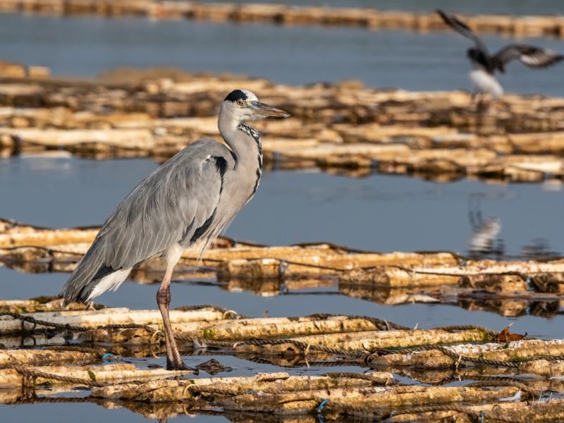 24012023 DSC 7175 24012023 DSC 7175