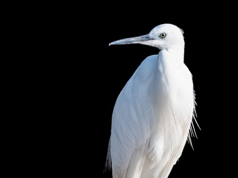 24012023 DSC 7187 Modifier 24012023 DSC 7187 Modifier