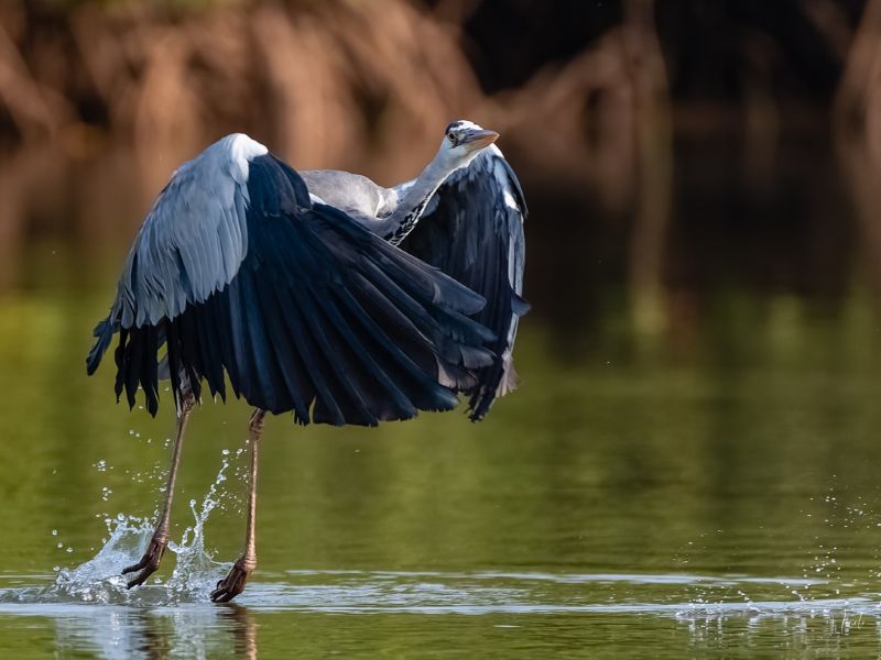 24012023 DSC 7342 NEF DxO DeepPRIME 24012023 DSC 7342 NEF DxO DeepPRIME