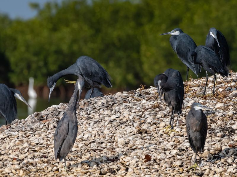 24012023 DSC 7690 NEF DxO DeepPRIME 24012023 DSC 7690 NEF DxO DeepPRIME