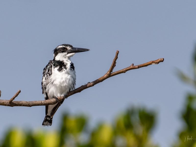 24012023 DSC 7767 Modifier 24012023 DSC 7767 Modifier