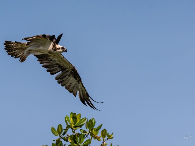 24012023 DSC 7881 24012023 DSC 7881