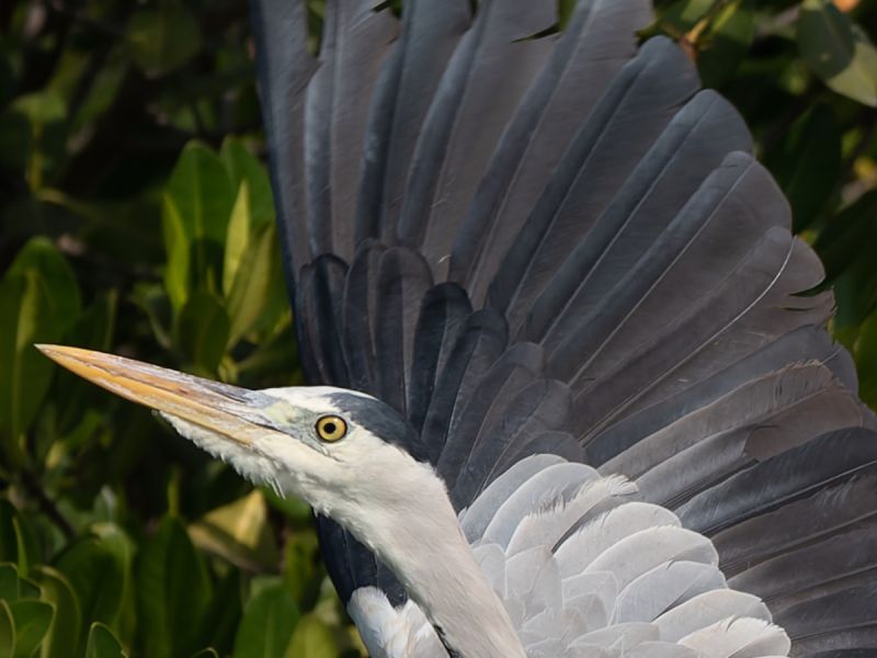 24012023 DSC 7886 NEF DxO DeepPRIME 24012023 DSC 7886 NEF DxO DeepPRIME