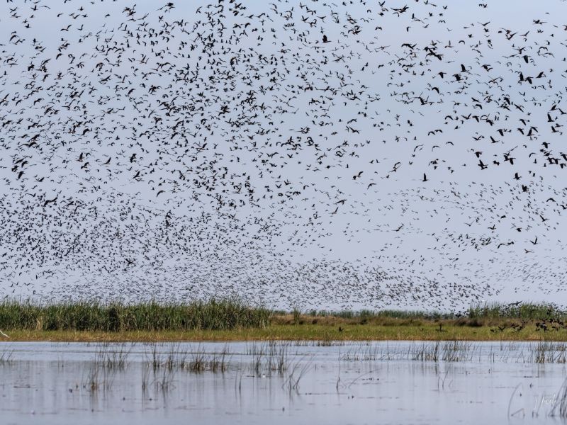 26012023 DSC 0590 26012023 DSC 0590