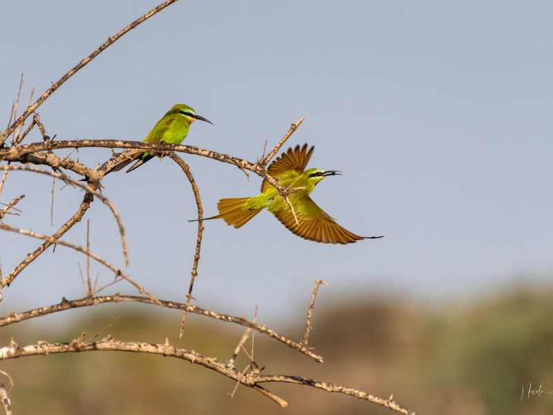 26012023 DSC 1119 26012023 DSC 1119