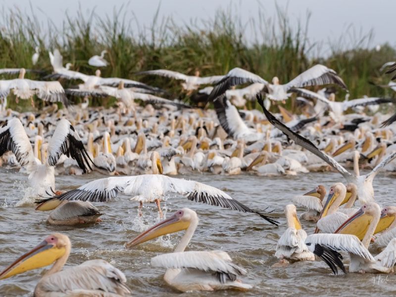 26012023 DSC 9568 26012023 DSC 9568