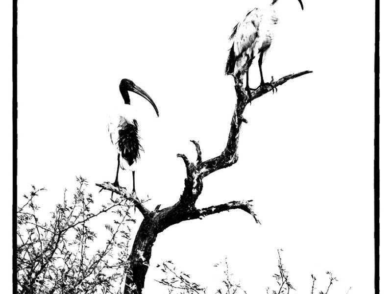 26012023 DSC 9596 M 26012023 DSC 9596 M