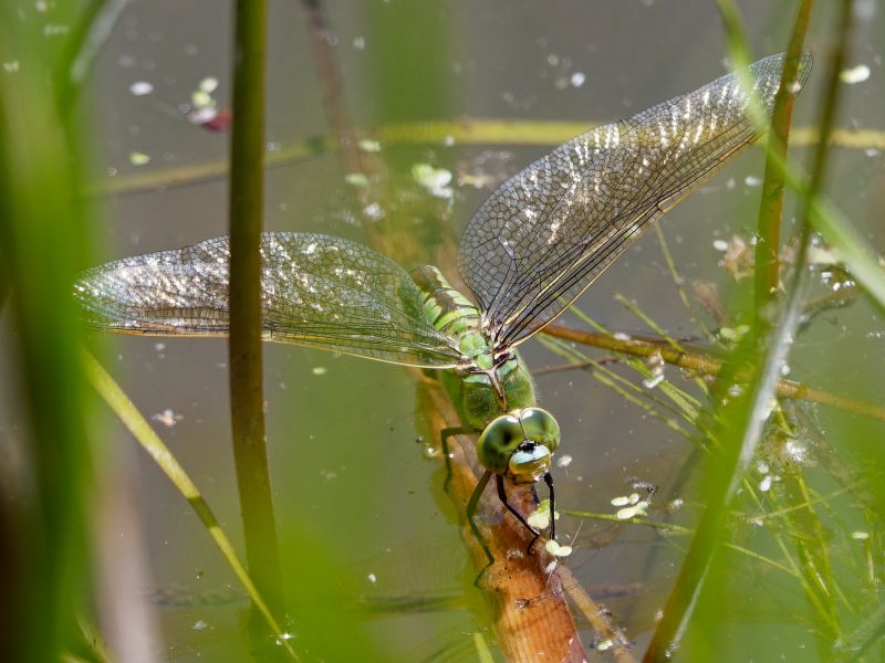 P1140120 DxO P1140120 DxO