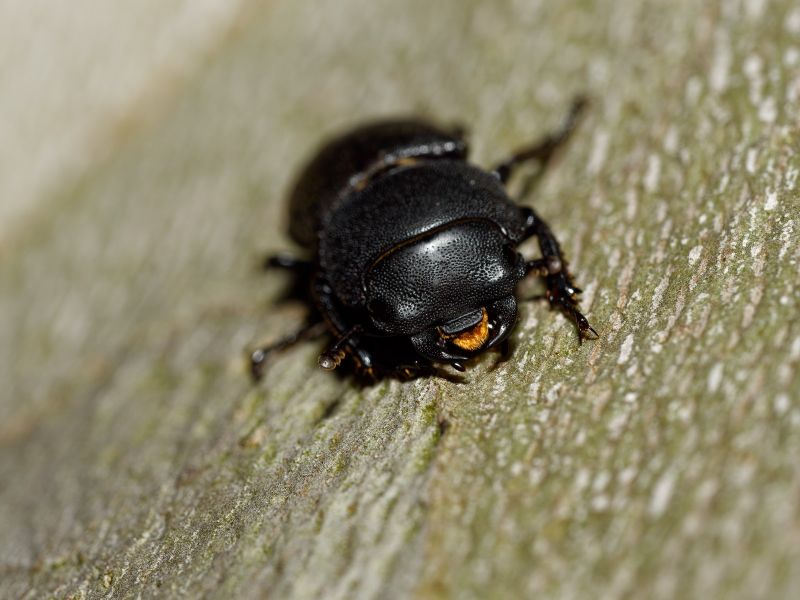 P1140573 DxO P1140573 DxO