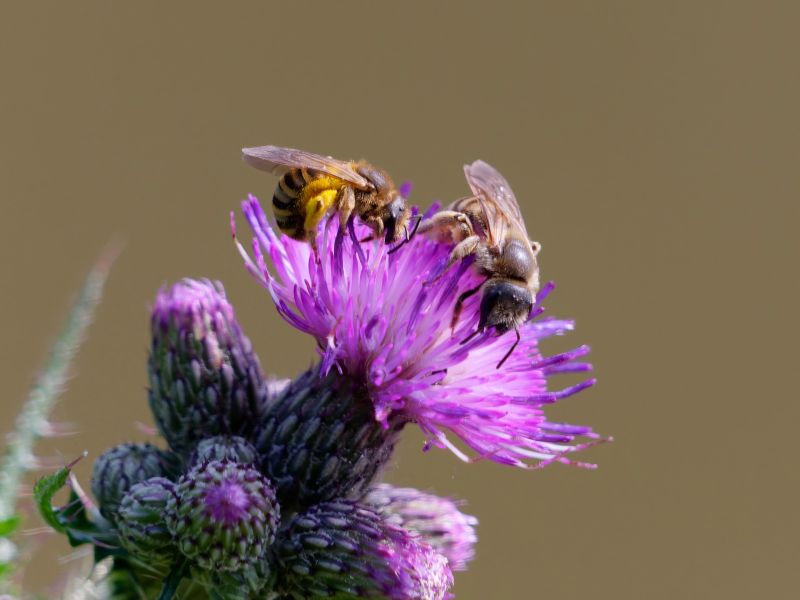 P1140986 DxO P1140986 DxO