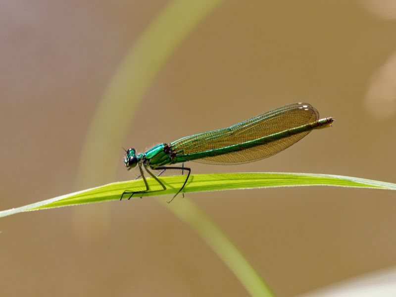 P1141002 DxO P1141002 DxO