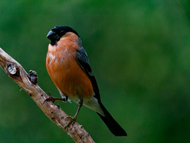 P1141062 DxO P1141062 DxO