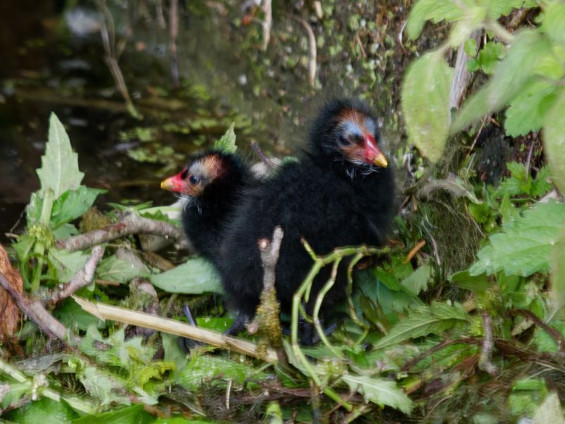 P1141746 DxO P1141746 DxO