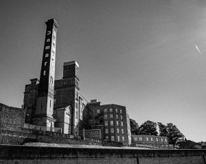 damart bingley bwx5 kopie damart bingley bwx5 kopie