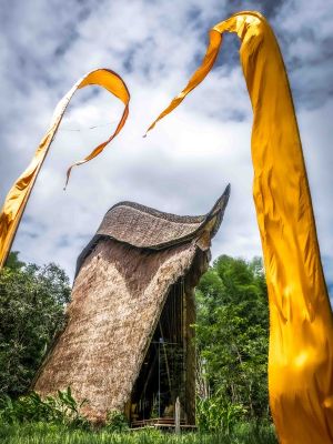 johnhardy1 johnhardy1