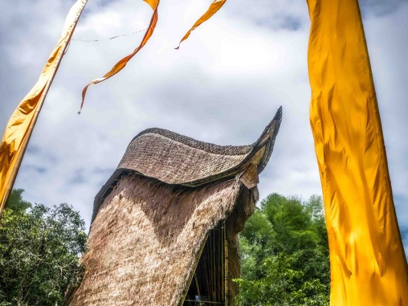 johnhardy1 johnhardy1