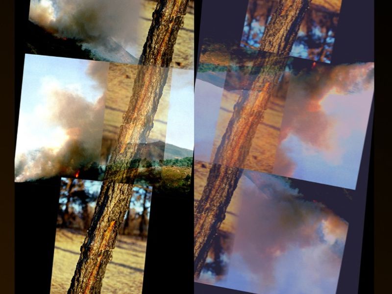 bushfire1 edit bushfire1 edit