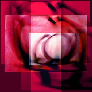 ringmontage2 ringmontage2