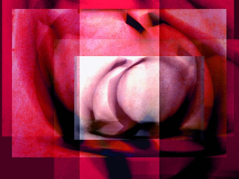 ringmontage2 ringmontage2