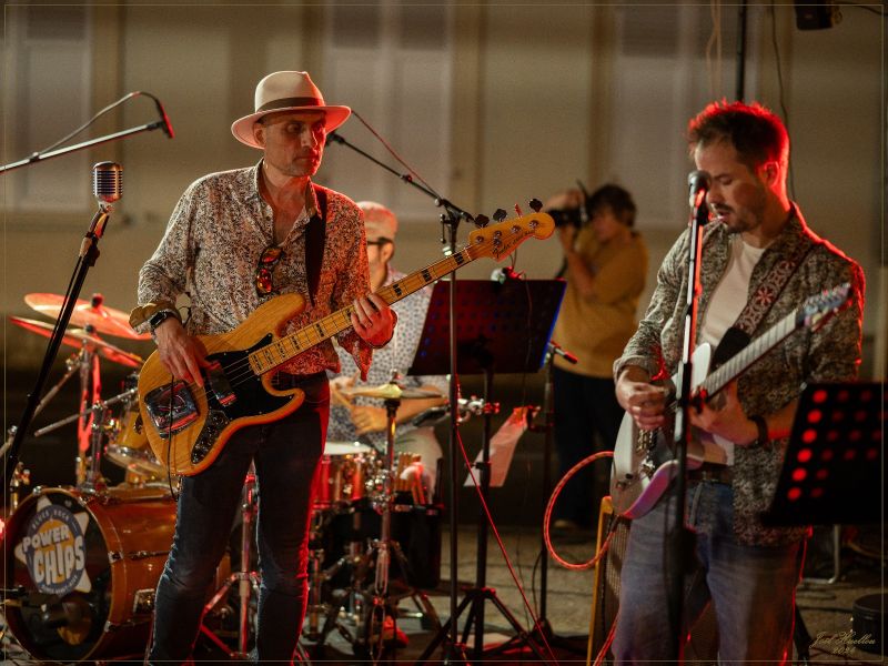 jh. dsc power chips jh. dsc power chips