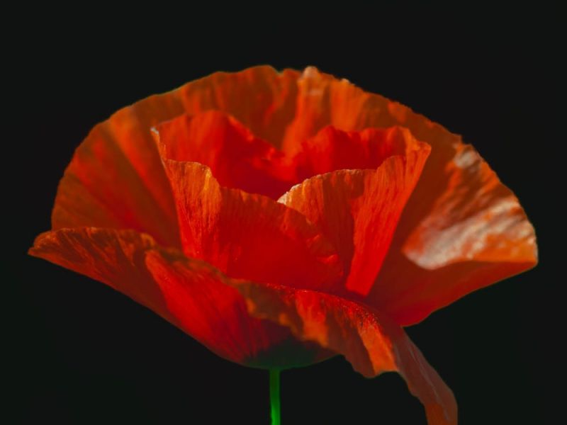 05062024  dsc0878 avec acc 05062024  dsc0878 avec acc