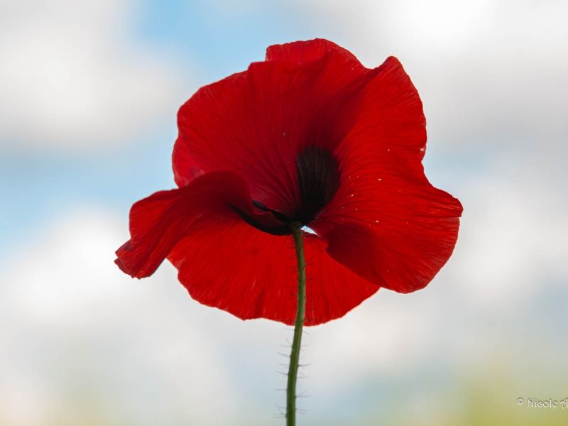 05062024  dsc0972 05062024  dsc0972