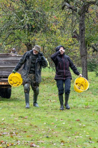 jh. dsc 0204 jh. dsc 0204