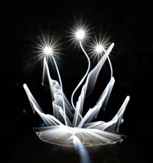 z050007 modifier