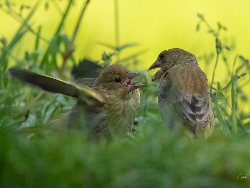 na  dsc3751 na  dsc3751