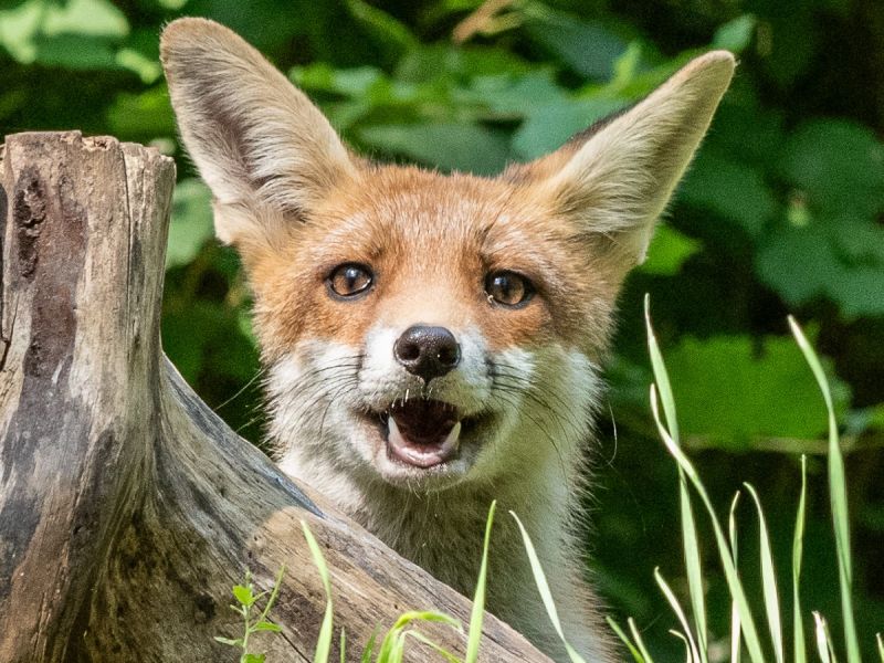 na  dsc4469  na  dsc4469