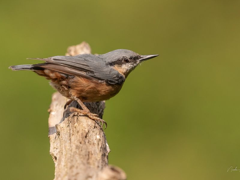 na dsc4023 na dsc4023