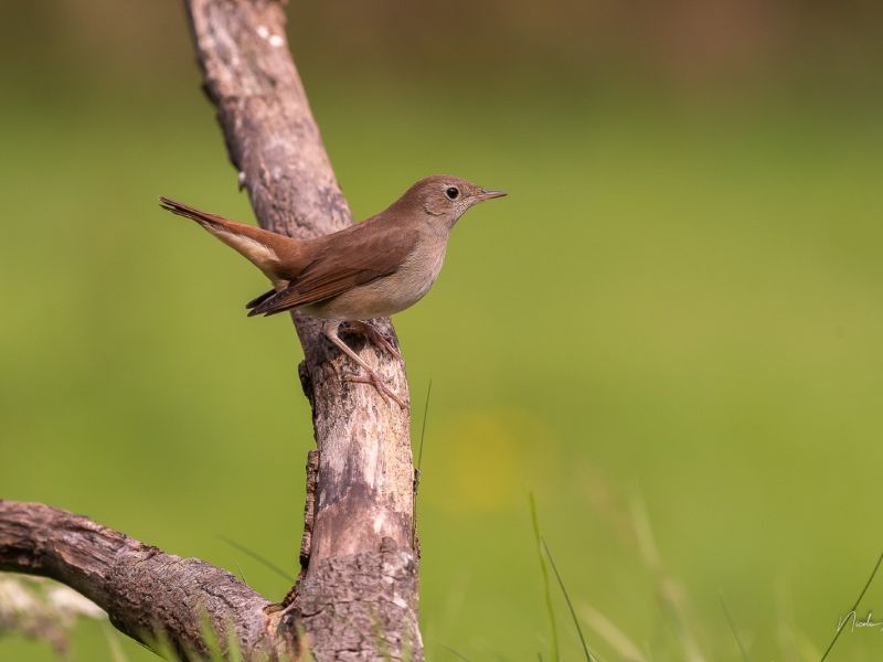 na 05082025 dsc4053 na 05082025 dsc4053