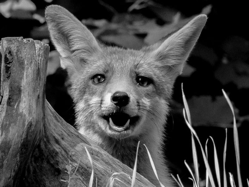 na dsc4469 na dsc4469