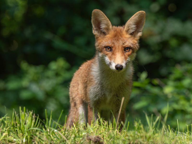 na dsc4486  na dsc4486