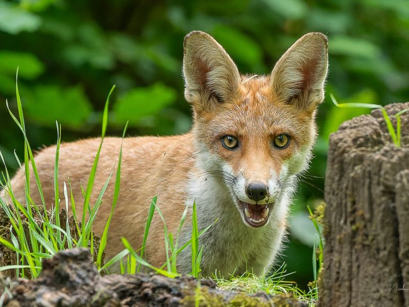 na dsc4583 na dsc4583