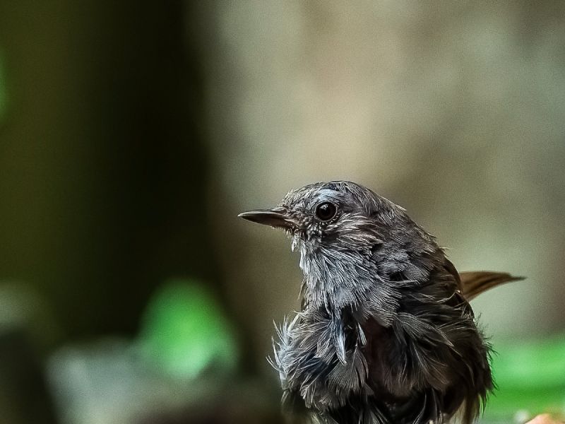 na dsc4798 na dsc4798