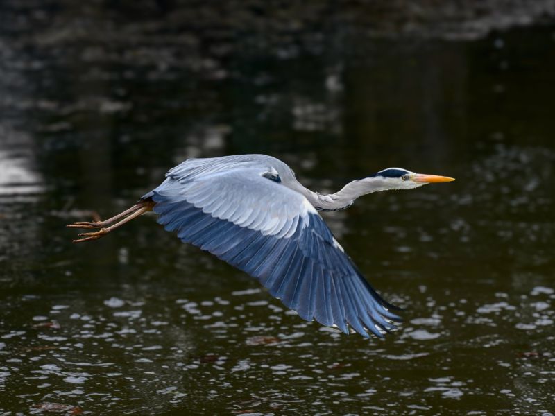 z630838 avec accentuation bruit lr  z630838 avec accentuation bruit lr