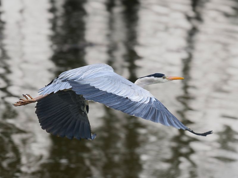 z630840 lr  z630840 lr