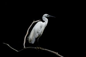 01082021  dsc0446 nef dxo deepprime 01082021  dsc0446 nef dxo deepprime