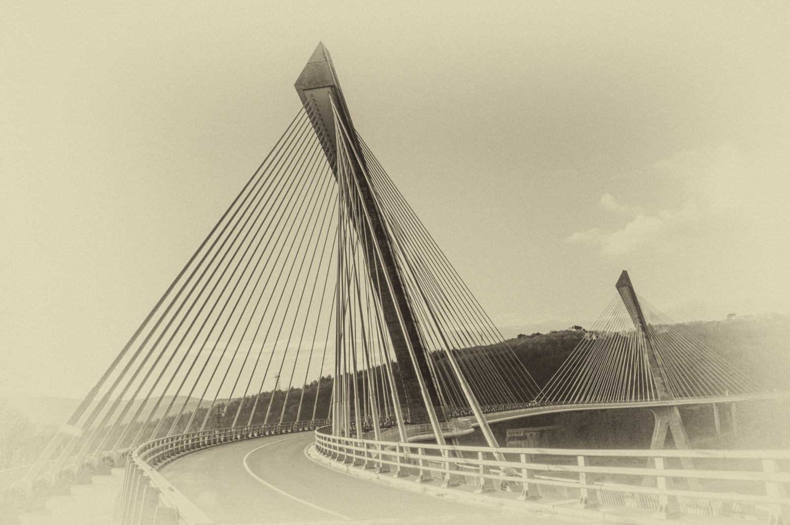 Lignes