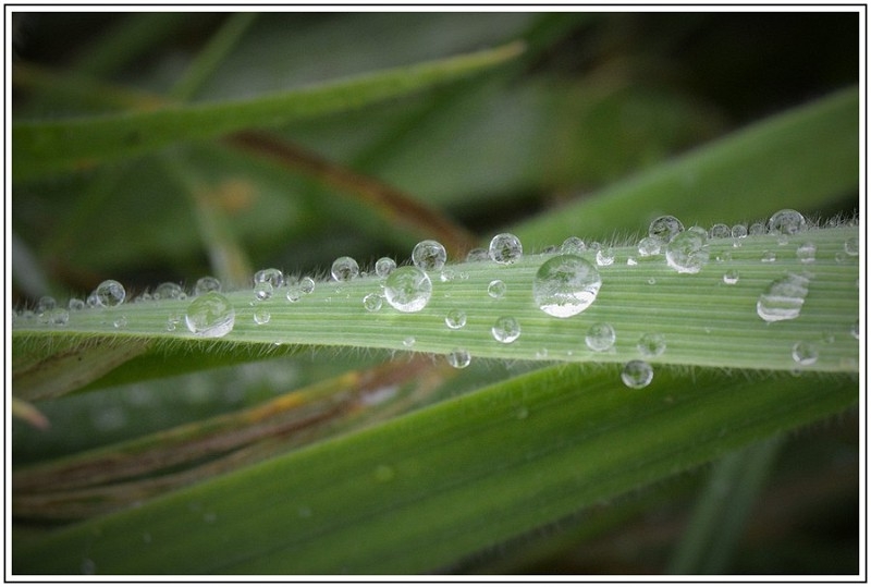 État de surface