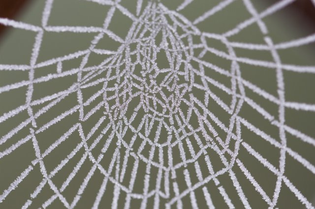 Résultats thème Givre/Froid/Eau