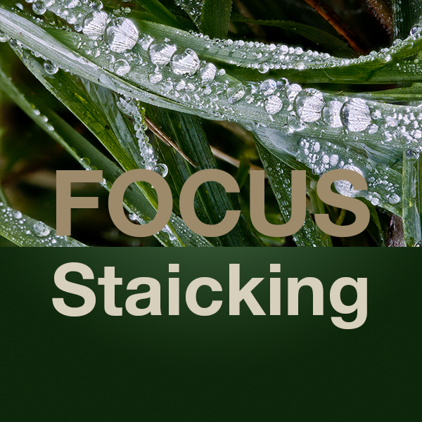 Focus staicking